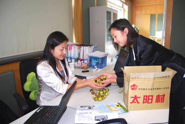 太阳村的冬枣送到员工手中